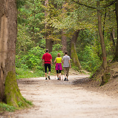Image showing Family walking in the woods