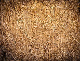 Image showing Rice Straw
