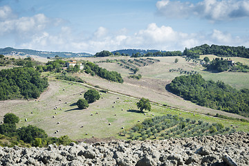 Image showing Beautiful landscape Tuscany