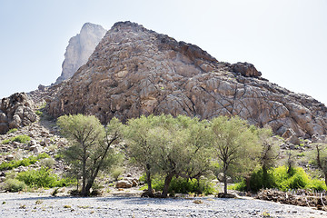 Image showing Landscape Oman