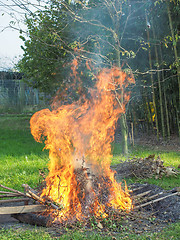 Image showing Burning fire