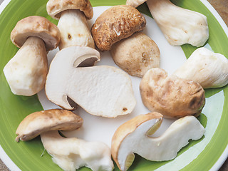 Image showing Porcini Mushroom