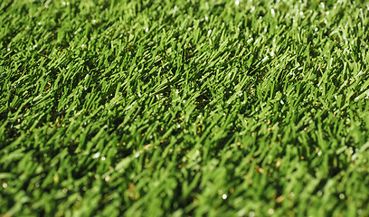 Image showing Artificial grass