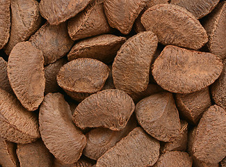 Image showing Brazil nuts background 