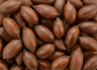 Image showing Pecan nuts background