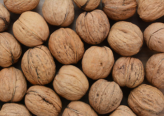 Image showing Walnuts in shells