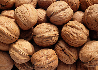 Image showing Heap of walnuts