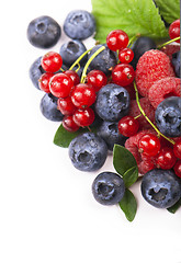 Image showing Many blueberries, raspberries. Isolated white