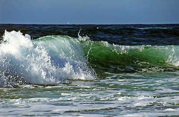 Image showing Wave