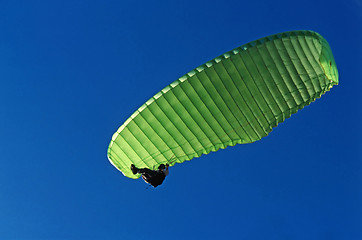 Image showing Glider