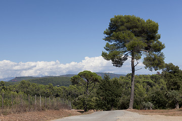 Image showing landscape south of france