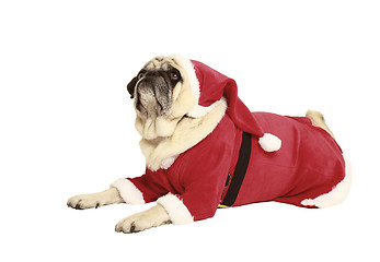 Image showing pug in santa costume lying