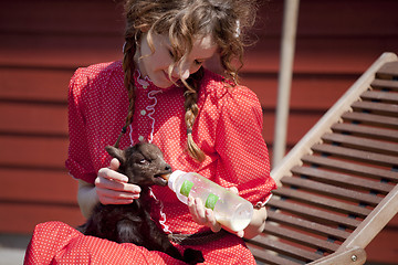 Image showing little brown lamb drinking from the bottle