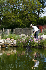 Image showing man fishes in garden pond