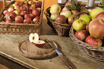 Image showing  different apple varieties