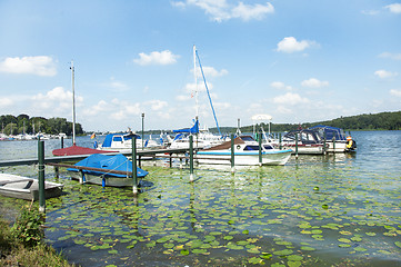 Image showing Mehrere kleine Segelboote an der Anlegestelle