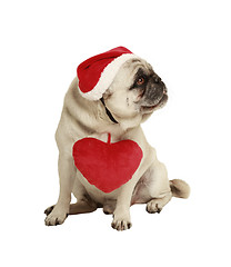 Image showing dog with hat and heart