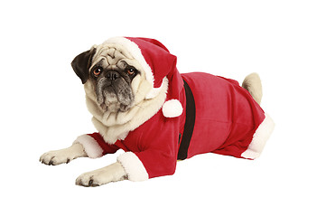 Image showing pug in santa costume lies and looks