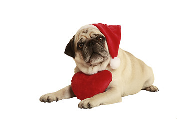 Image showing pug santa claus cap heart