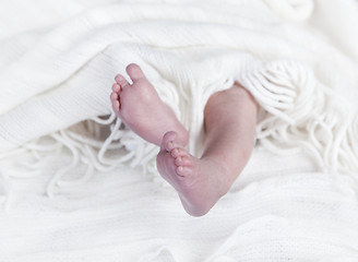 Image showing Baby feet