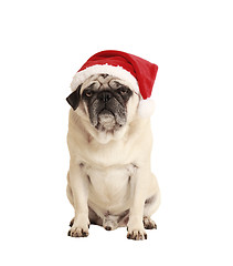 Image showing dog as a Christmas gift