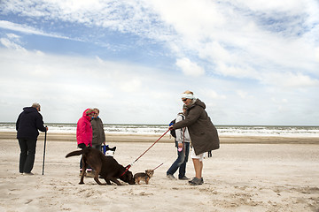 Image showing beach walk with dog