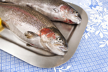 Image showing two fresh trout served on a tray