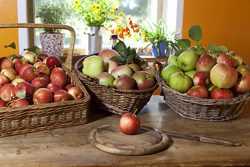 Image showing grazing baskets with apples