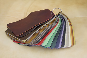 Image showing Leather for upholstery the furniture