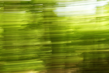 Image showing Blurred trees background