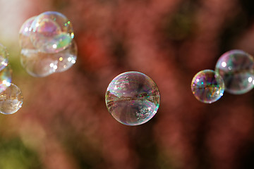 Image showing Soap bubbles