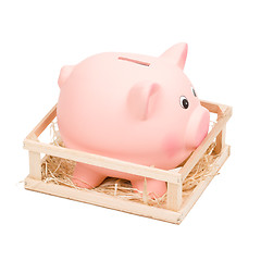 Image showing Piggy bank