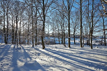 Image showing Winter Park