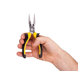 Image showing Pliers, hand tool