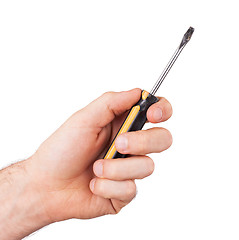 Image showing Single slotted screwdriver with plastic grip