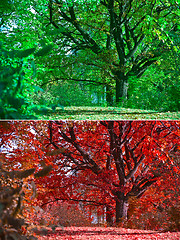 Image showing Seasons