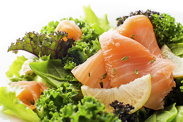 Image showing Salmon salad