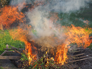 Image showing Burning fire