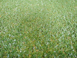 Image showing Artificial grass