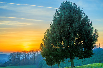 Image showing Sunset in autumn