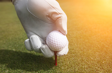 Image showing Placing golf ball on a tee