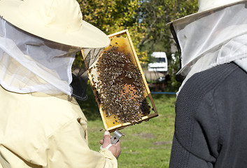 Image showing two beekeepers inspect the bees