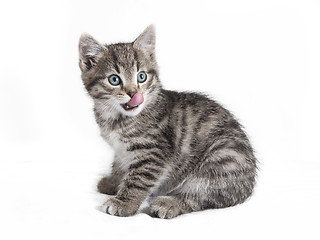 Image showing cat with a long tongue