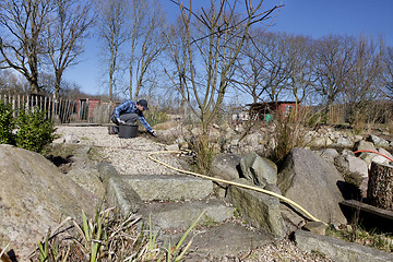 Image showing man working in garden