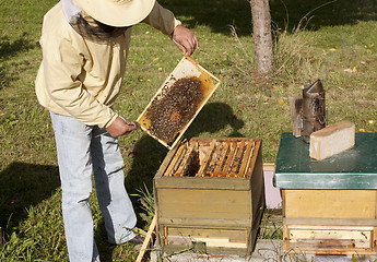 Image showing German beekeeping