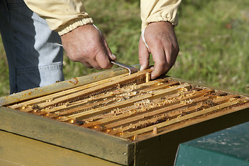 Image showing honeycomb boxes