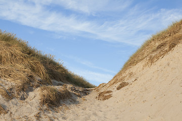 Image showing dunes in Denmark