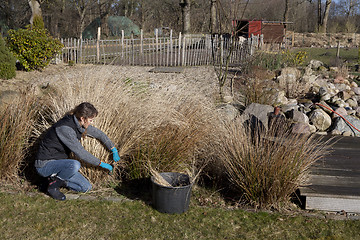 Image showing woman cuts grasses