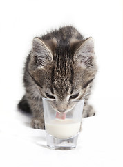 Image showing cat licking milk from glass