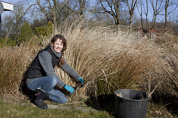 Image showing Cut off old grass